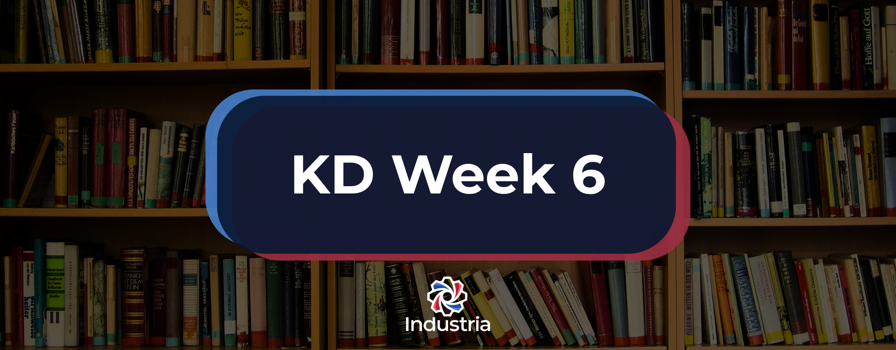 Kursusdienst week 6